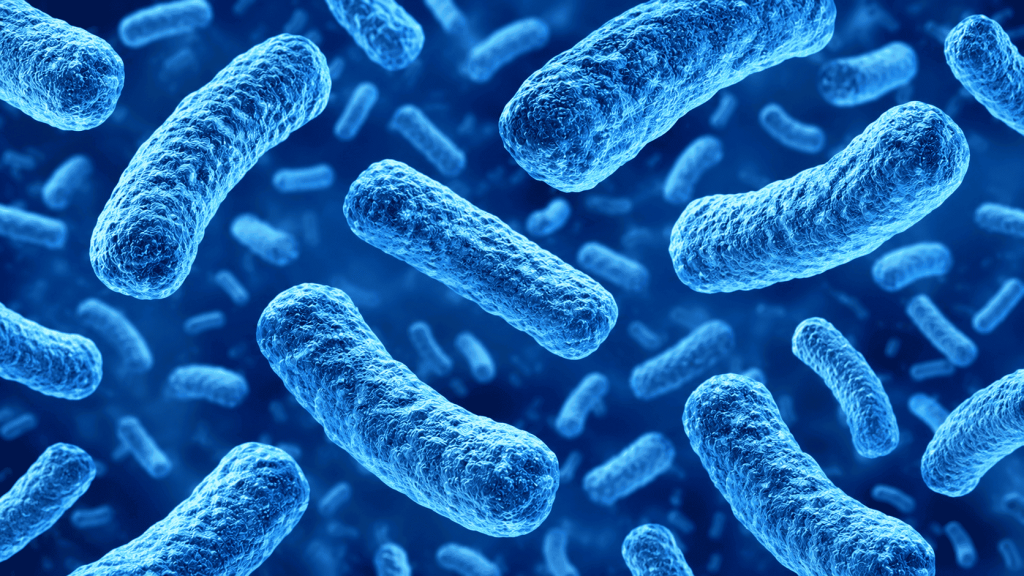e coli